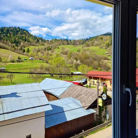 V Srdci Lesa Проживание в семье *