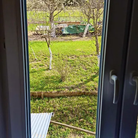 Проживание в семье V Srdci Lesa